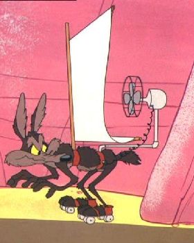 wile coyote