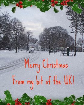 Outside my front gate!