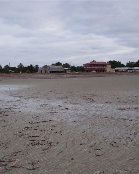 Pt Gremaine