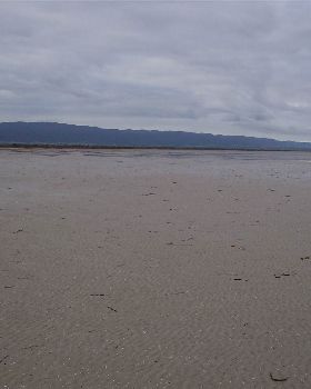 Pt Gremaine