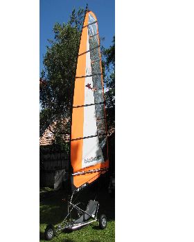 My new 5.5m Orange sail with 'Flying Fish' emblem