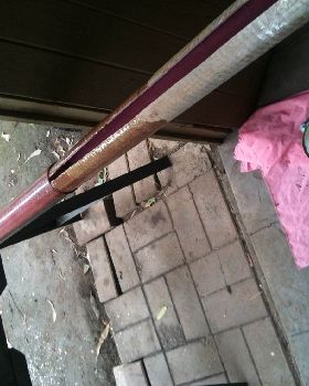 Picture 019