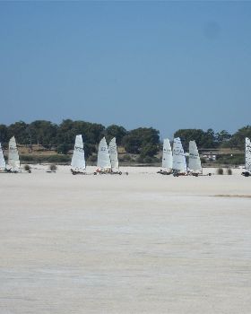 class5 sandgropers