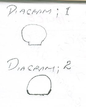 scan