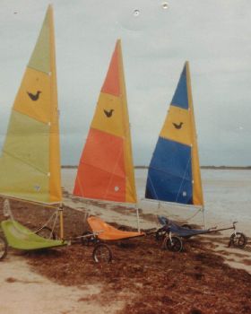 Sandpipers (1984)
