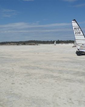 sandgropers