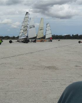 sandgropers