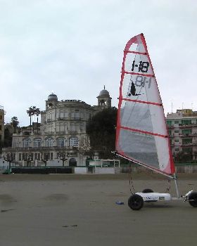 SEAGULL ANZIO