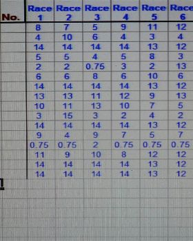 race results