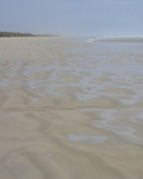 sandy point 02-08-13 007