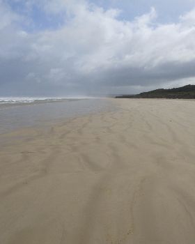 sandy point 02-08-13 009