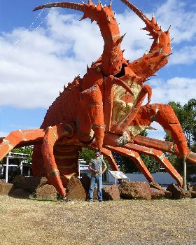 Kingston SE Big Lobster