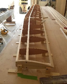 Wingnut lll class 3 wing