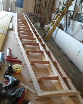 Wingnut lll class 3 wing