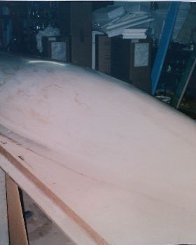 IMAG0344