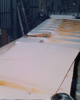 vindi wing