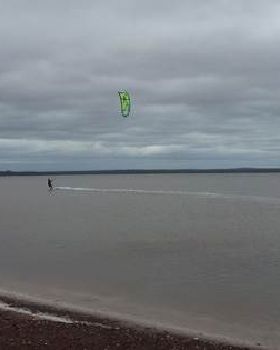 LLF02