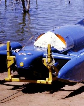 cropped-Bluebird-722x550