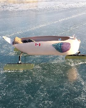 windpig on ice