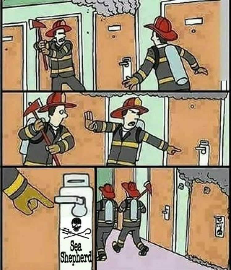 26167027 1342913389146483 7361498531794536408 n