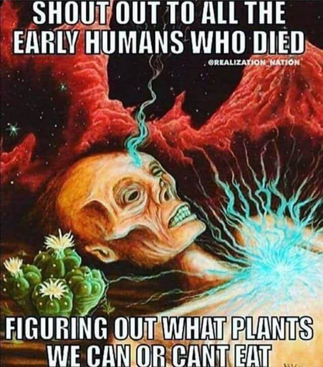 29683334 2059946804280697 3353085649270378739 n