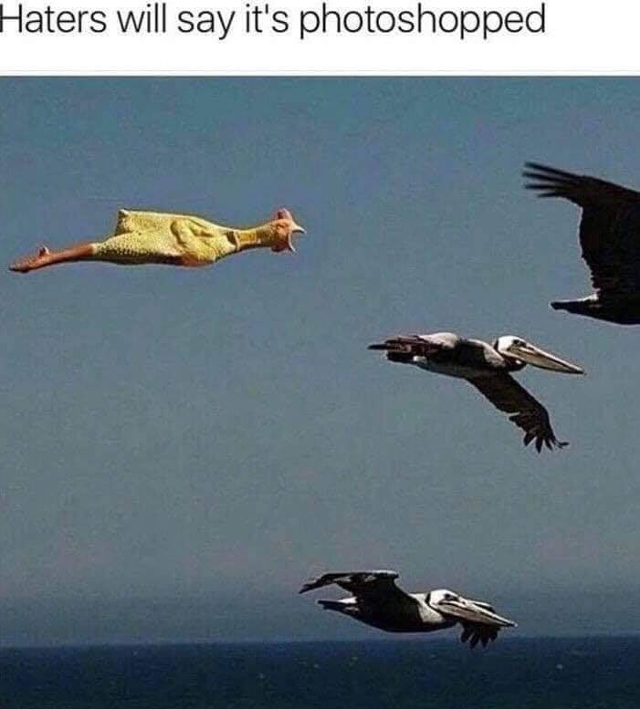52459031 2211474885605043 1439499323371945984 n
