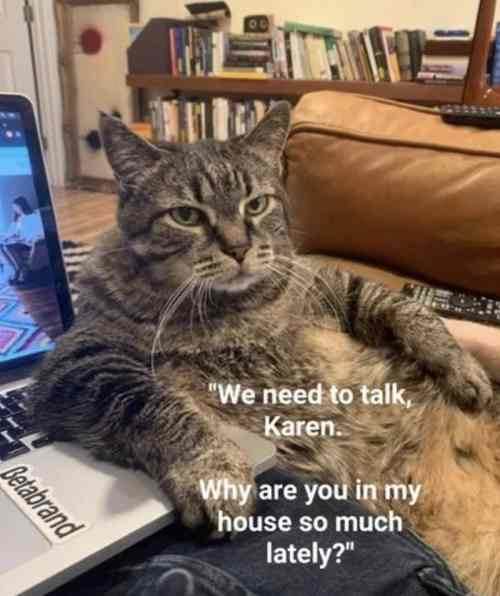 56115-we-need-to-talk-karen-why-are-you-in-my-house-so-much-lately
