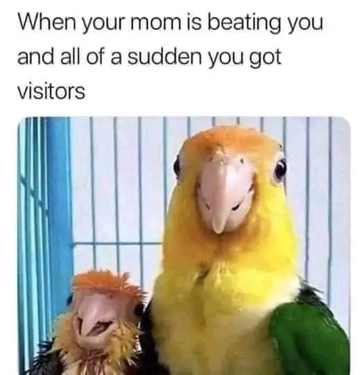 45820993010365877751399414215507348551328108n