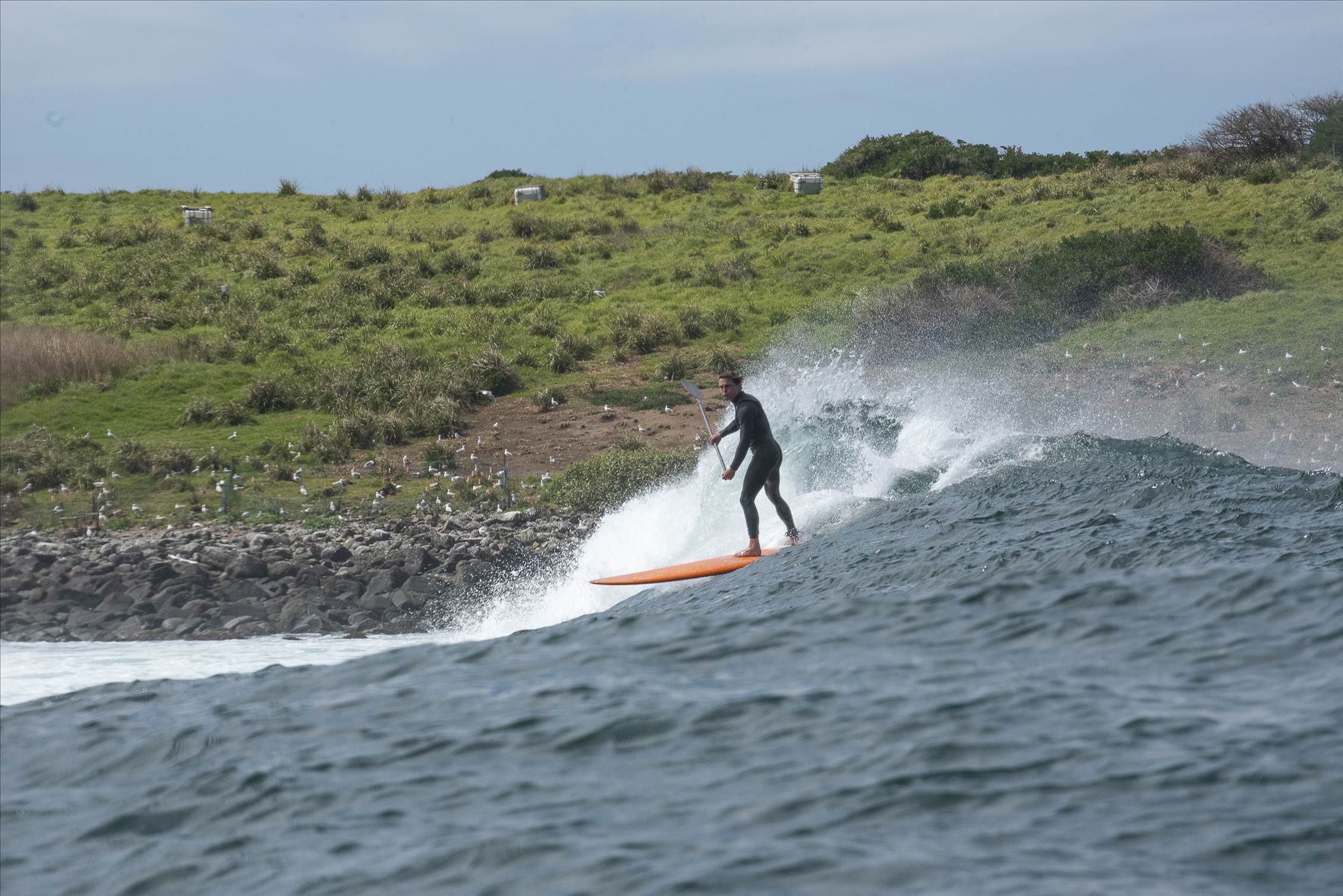 sup island 2