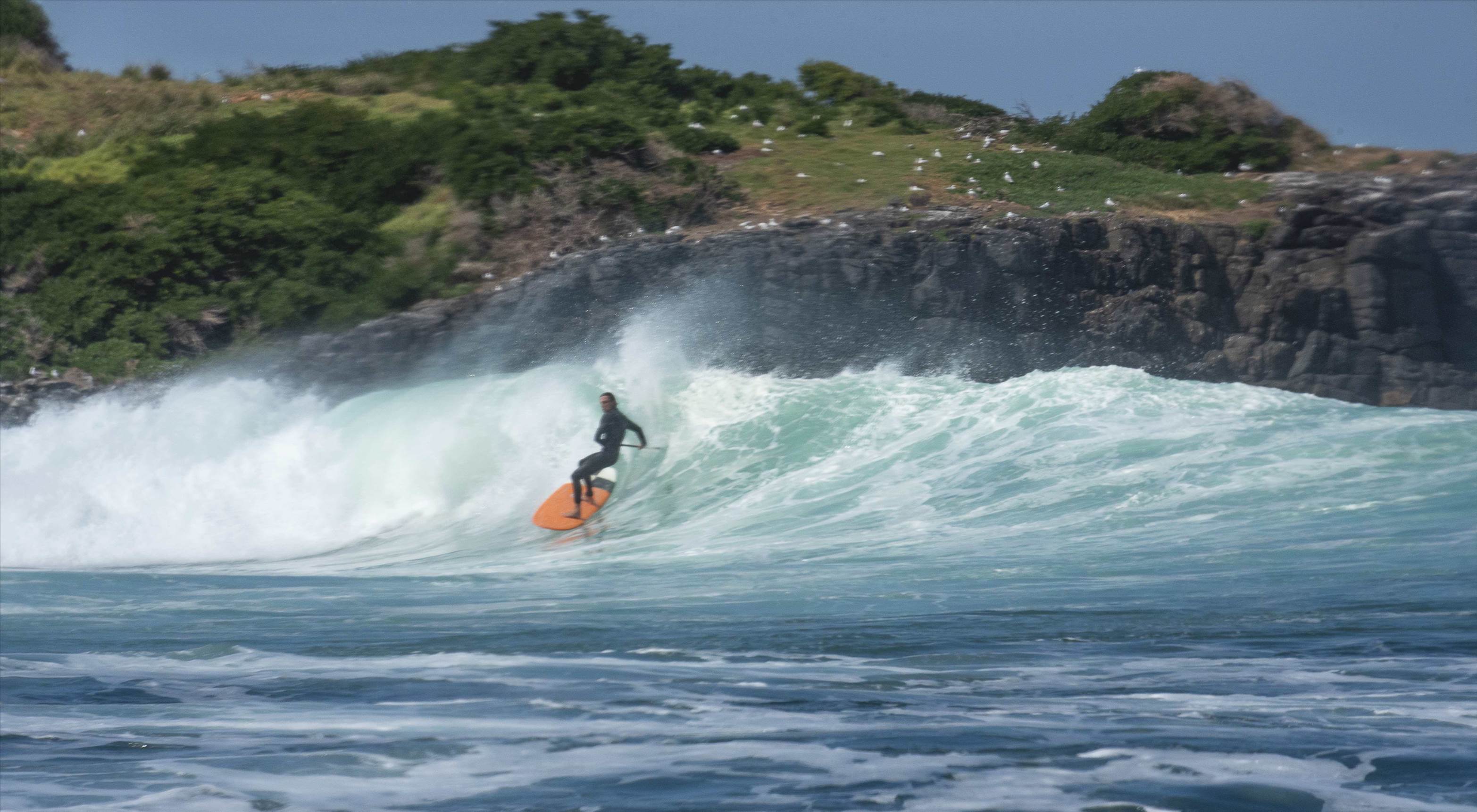 sup island 3 copy