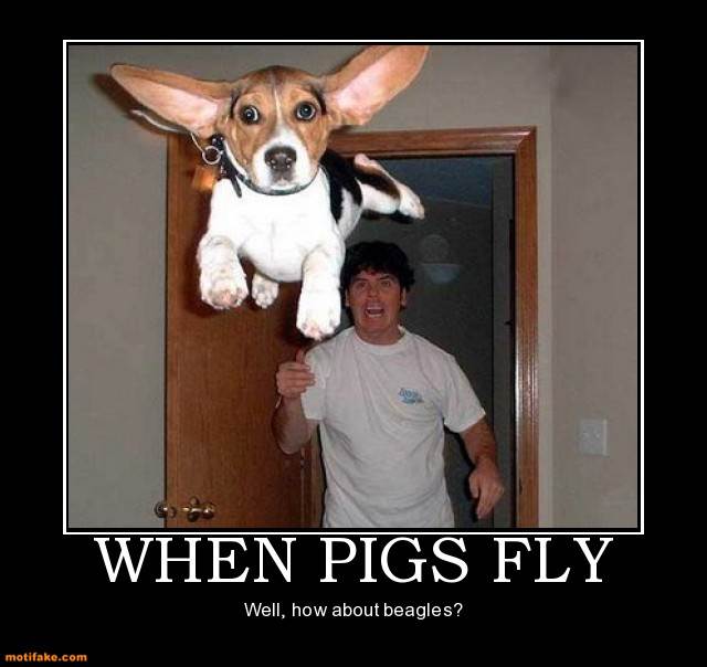 when-pigs-fly-dog-animal-fly-beagle-demotivational-posters-1322661187