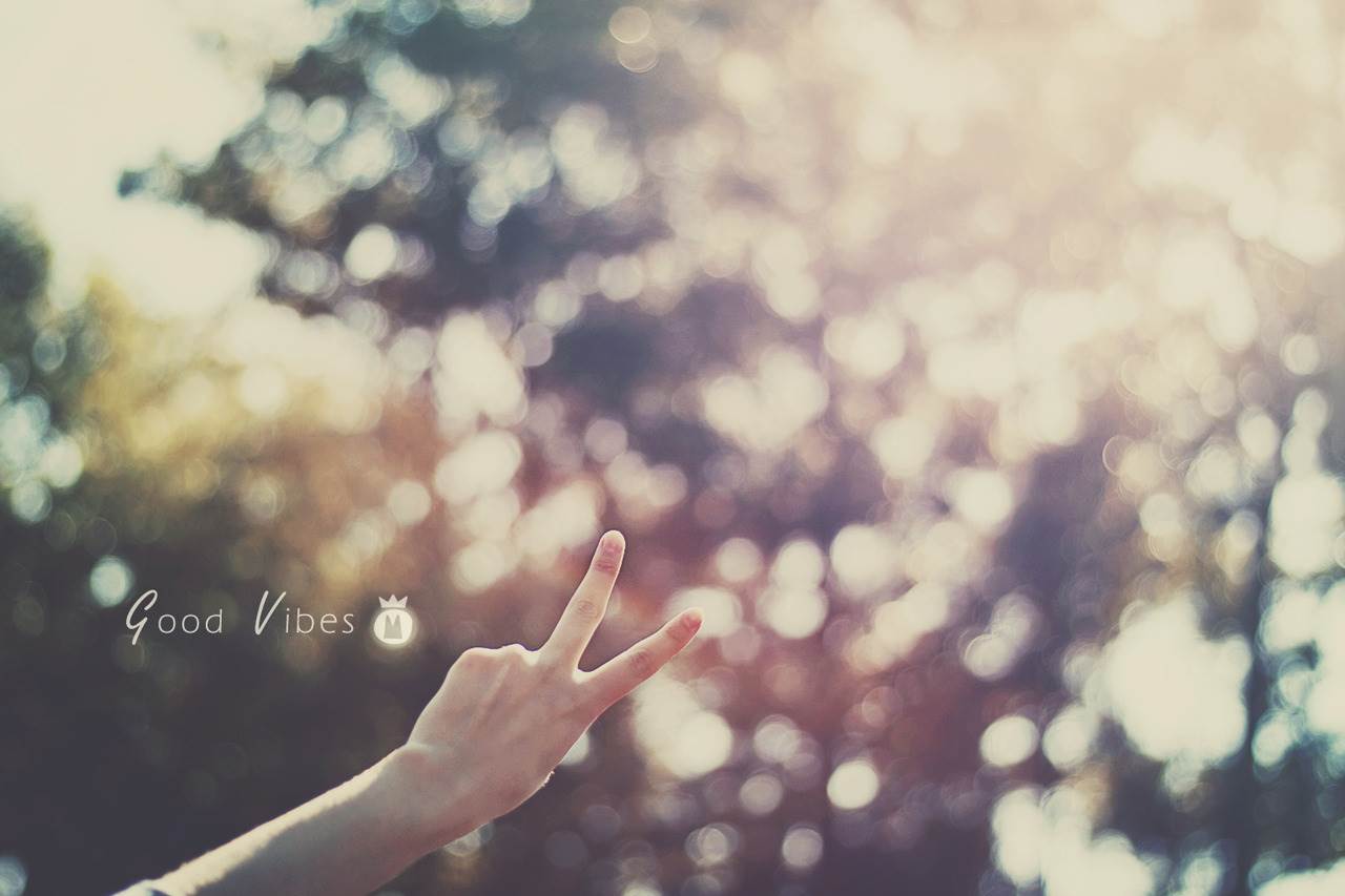 tumblr mbsp17cgpk1r46py4o1 1280