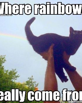 rainbow