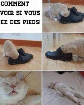 stinky feet