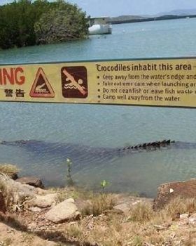 classic australian signs (16 photos) - 10