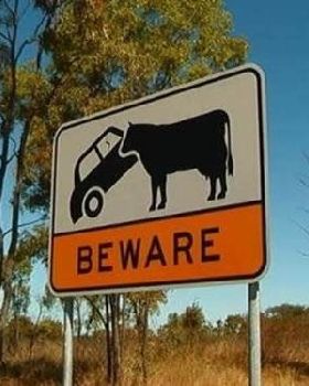 classic australian signs (16 photos) - 02