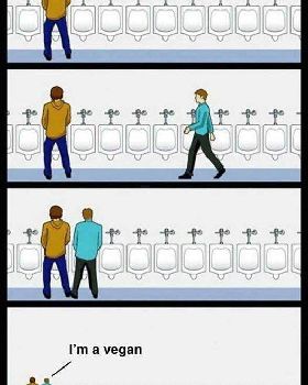 urinal vegan