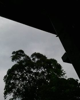 CAM01171