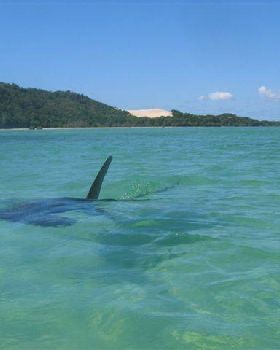 moreton island canoeing