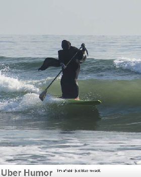 Death of SUP