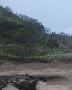 Vehicle Recovery