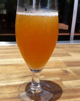 Belgian Saison