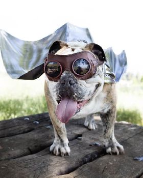 Super-Mugsy
