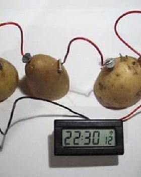 potato battery pics 06