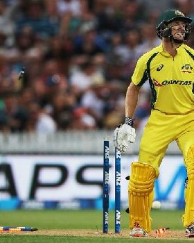 cricket