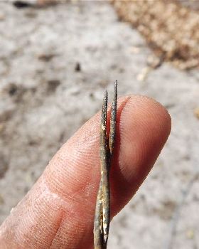 Fire damage to high tensile fencing wire.