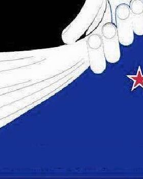 Proposed Flag