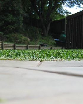 Flymo grass 2