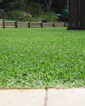 Flymo grass