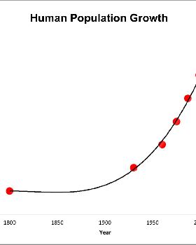 Human population growth from 1800 to 2000